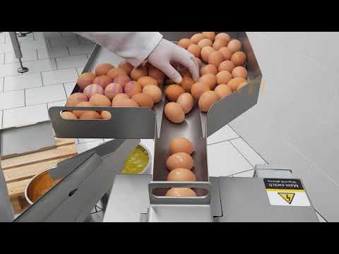 RZ-1 Yumurta Kırma Makinesi - Egg Breaker And Separator