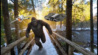 Did we just drone Bigfoot (Oregon is WILD)