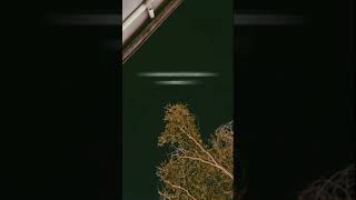 Download lagu STORY WA 30 DETIK || KEREN || TERBARU 2021 || AKU HANYA LELAH !! mp3