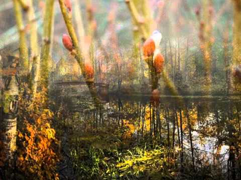 The Mynah Birds ~ It's My Time (1966)