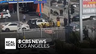 Pedestrian killed after crash involving LAPD officers