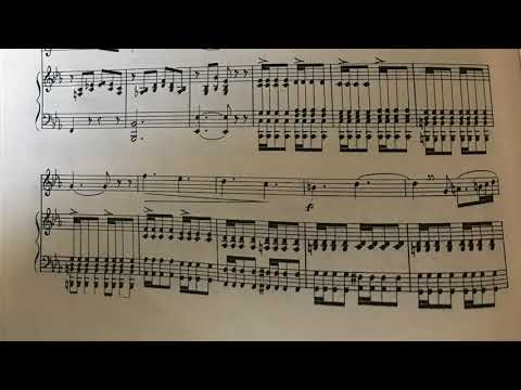 Seidler 11 melodia l'arte del cantare