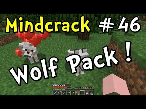 Mindcrack S4E46 "Wolf Pack" (Minecraft Survival Multiplayer Server)