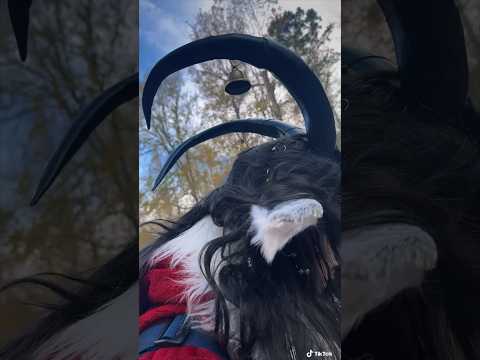 Rahhh my version of Krampus #krampus #cosplay #renaissancefestival