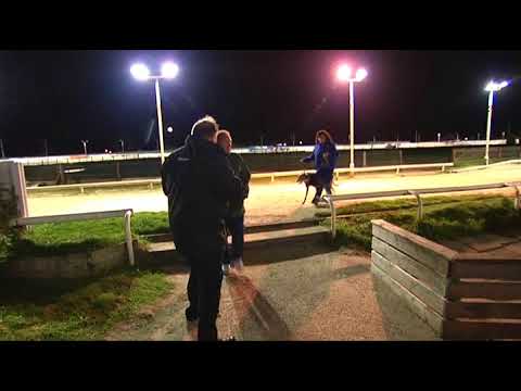 2017 WILLIAM HILL NORTHERN PUPPY DERBY - HEAT 2 - T1 ROXHOLME NIDGE