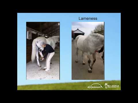 Stringhalt and Shivers Explained