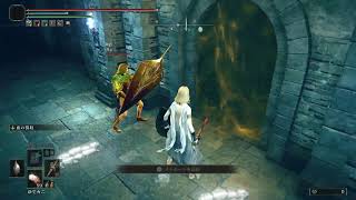 【PS5】エルデンリング DLC 実況なし #8