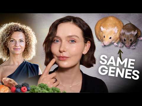 Your DNA isn't Destiny! How Food Changes Your Genes - Stanford expert Dr. Lucia Aronica explains