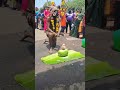 Sudalai Madan Kulasai Thasara Nayagi Ittamozhi Mutharamman Thasara