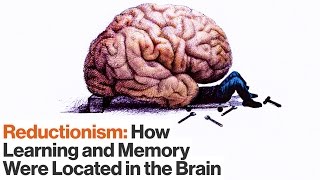 How Reductionism Uncovered Secrets of Long-term and Short-term Memory | Eric Kandel