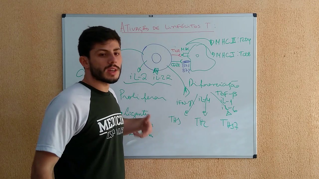 Ativação de Linfócitos T