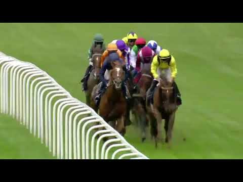 ADDEYBB wins the Champion Stakes at Ascot!