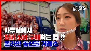사무실에서 양파 10t 구매하는 법!?