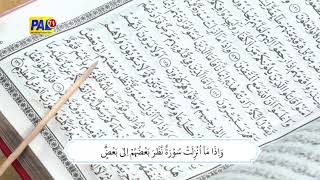 Download lagu LIVE STREAMING PALTV MEMANG PUNYO KITO mp3