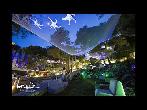 Tony H Vitamina h mix 2000