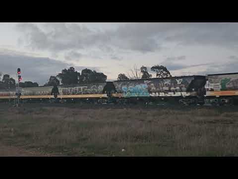 7738V PN empty grain transfer to Maroona, 1730, 30/6/24, Ararat VIC