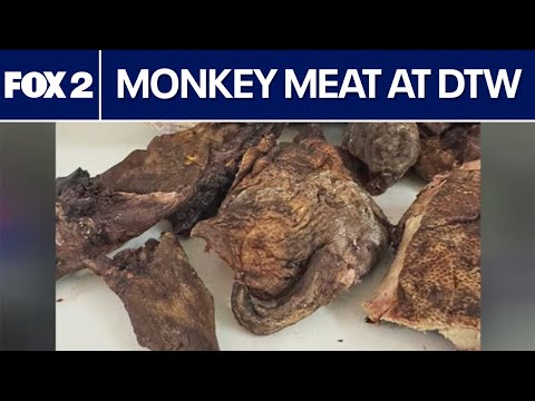 Detroit airport passengers busted with primate meat in luggage