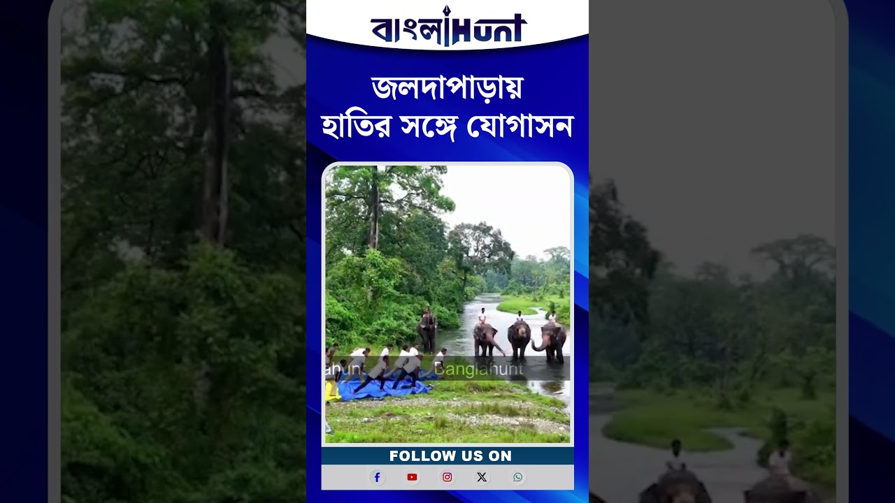 জলদাপাড়ায় হাতির সঙ্গে যোগাসন