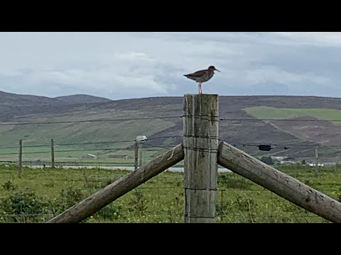 Sailing around Britain - Part 7 - The Orkney Islands (South islands)