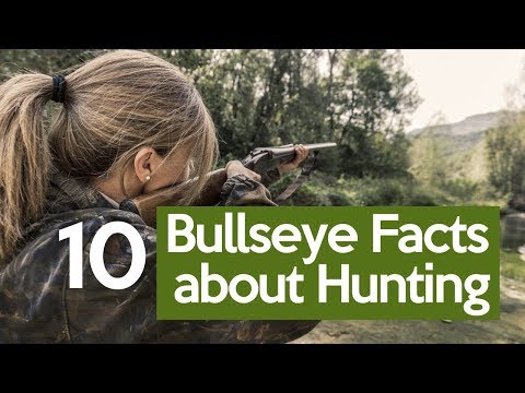 10 Bullseye Facts about Hunting