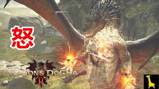 【ドラゴンズドグマ2】実況#10 野良ドラゴンがいたから戦ってみた Dragon's Dogma 2 PC Steam