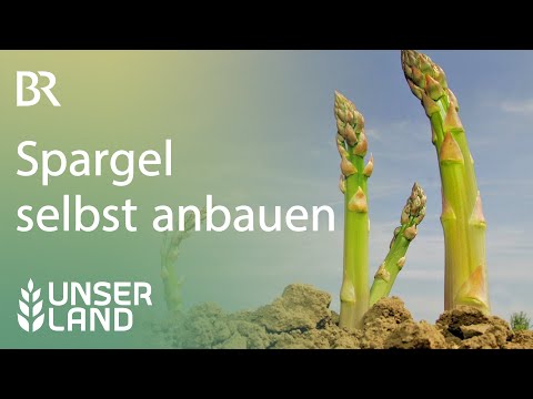 , title : 'Selbst Spargel anbauen  | Unser Land | BR Fernsehen'