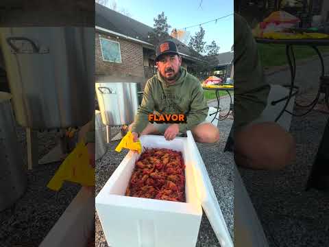 Por que polvilhamos nossos lagostins com tempero #crawfish #Cajun #crawfishboil #Louisiana #recipe #food