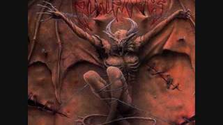 Sinister - Rebels Dome