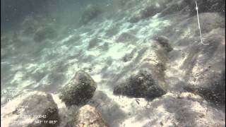 Snorkeling @ Plage l'Escalet, Saint Tropez, Cote d'Azur