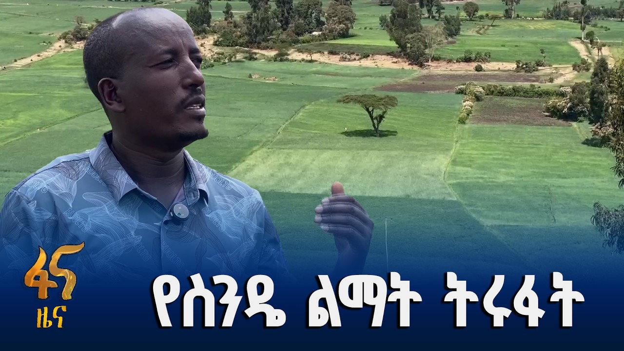 ለምርታማነት የዘመናዊ ቴክኖሎጂ አጠቃቀም