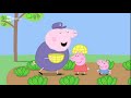 Animaletti EPISODIO COMPLETO Peppa Pig Pazzi Per Tutti