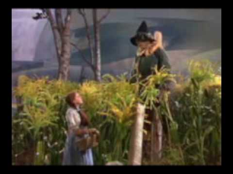 download lagu mp3 mp4 Mago De Oz Parodia, download lagu Mago De Oz Parodia gratis, unduh video klip Mago De Oz Parodia