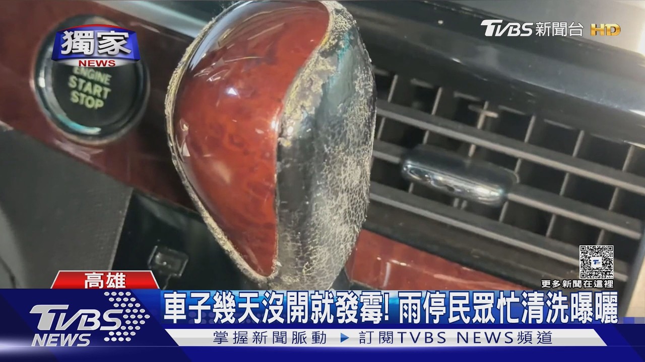 獨家影音／高雄雨終於停！　登革熱噴藥、住家防霉曝曬忙啟動
