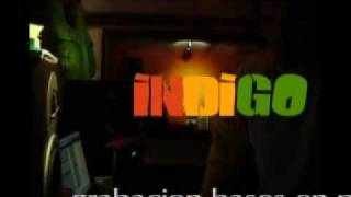 preview picture of video 'Indigo reggae raiz'