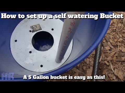 ⟹ HOW TO: Set Up 5 Gallon Self Watering Buckets For Gardening | Peppers, Tomatoes, Vegetables