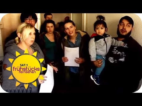 Tipps für Wohnungssuche: So sticht man bei Massenbesichtigung heraus | SAT.1 Frühstücksfernsehen