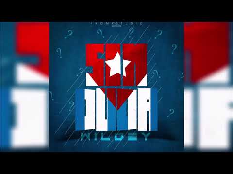 Wildey - Sin Duda