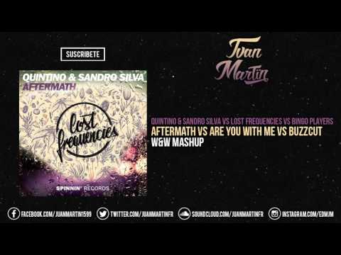 Afthermath vs Are You With Me vs Buzzcut (W&W Tomorrowland Brasil Mashup)
