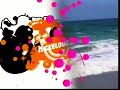 TEENick Wednesday Afternoon Surfing Bumper Nickelodeon NIKP 53 July 13 2005