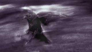 Crow Jane - Nick Cave And The Bad Seeds