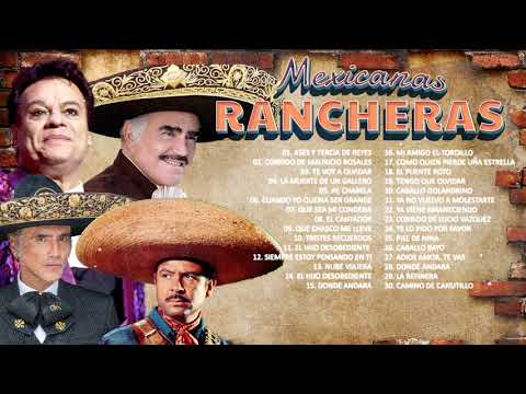 Alejandro Fernandez, Vicente Fernandez, Juan Gabriel, Antonio Aguilar Éxitos Mexicanas Ranchesras