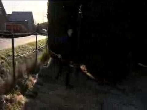 Preview - Vijftienjarige mesthandelaar: 'School is verspilling van tijd en geld'