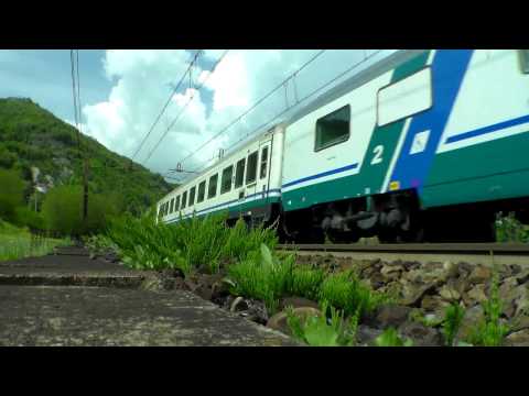 IL SALUTO DELLA TARTARUGA 444-053 IN TRANSITO A RIGOROSO.(AL) 15 - 4 - 2017