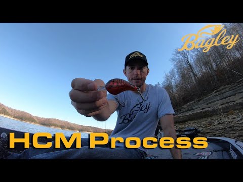 Bagley Bait Manufacturing HCM Process (Matt Becker)