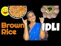 How to make Soft Brown Rice Idli | Idli using Brown Rice | Brown Rice Idli Dosa Batter How to make Soft Brown Rice Idli | Idli using Brown Rice | Brown Rice Idli Dosa Batter