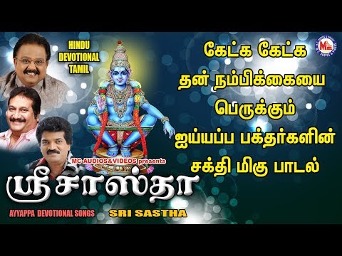 சுவாமி இல்லாமல் வேறு யாராவது இல்லவே இல்லை எங்களுக்கு |Ayyappa Devotional Songs Tamil