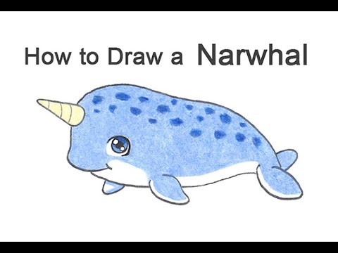 How to draw a Narwhal (Cartoon)