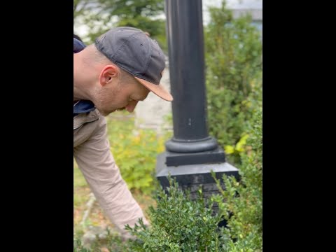 Der jüdische Friedhof in Aschersleben - Ein Rundgang
