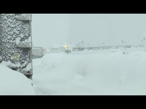 Local 4 News at 4 -- Dec. 17, 2020