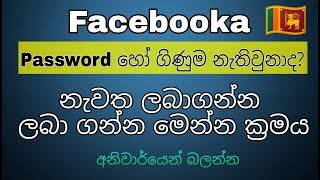 How to Recover facebook password without email and phone number sinhala /සිංහල 🇱🇰 2019